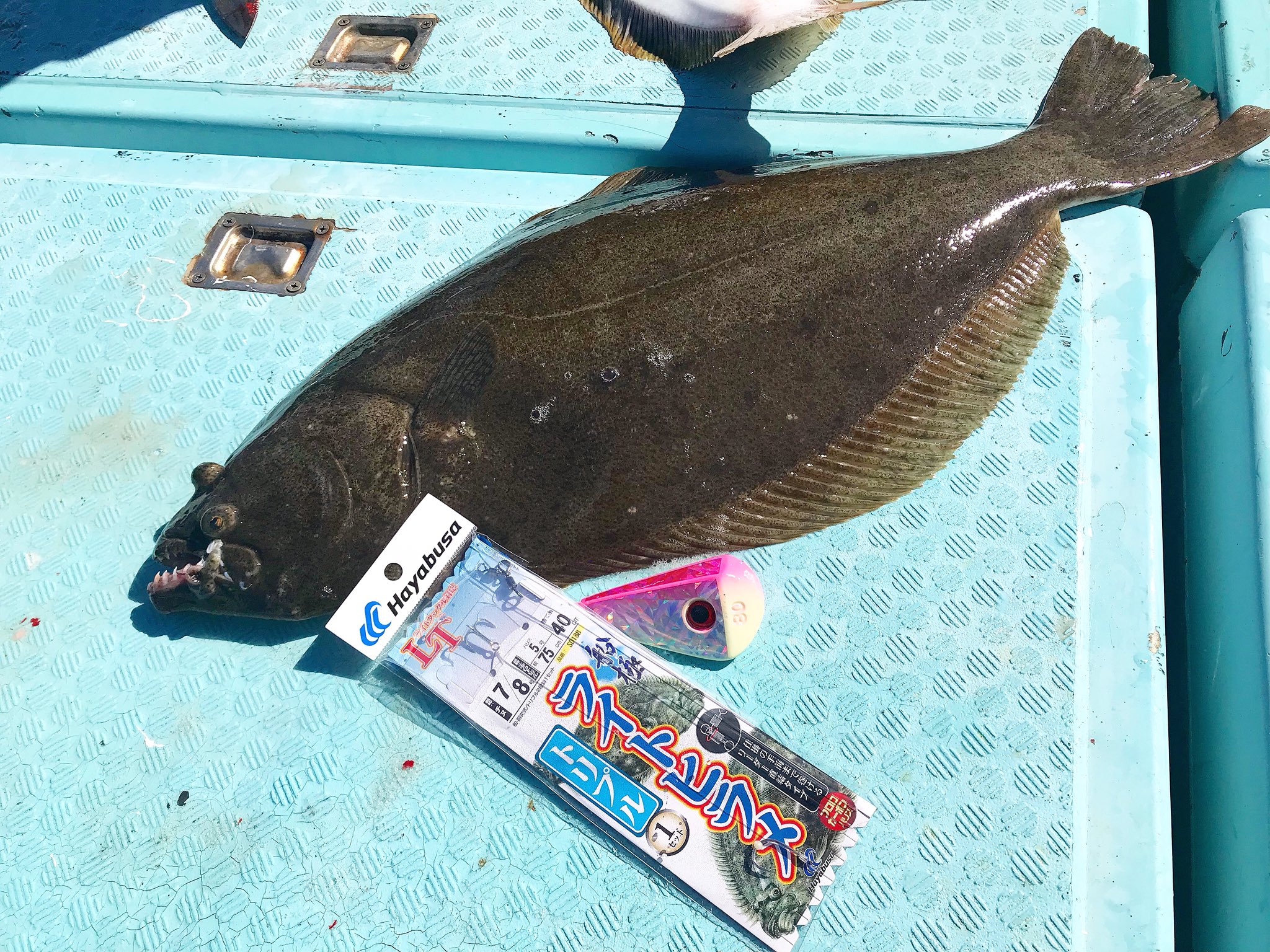 𝕤𝕢𝕦𝕚𝕕 𝕞𝕒𝕟𝕒𝕘𝕖𝕣 大原港 勝晃丸さんにて イワシ来襲で大判期待 ハヤブサ ライトヒラメ 目玉集魚シンカー 隼華 勝晃丸 さん ヒラメ T Co 7w7su2mf3h Twitter