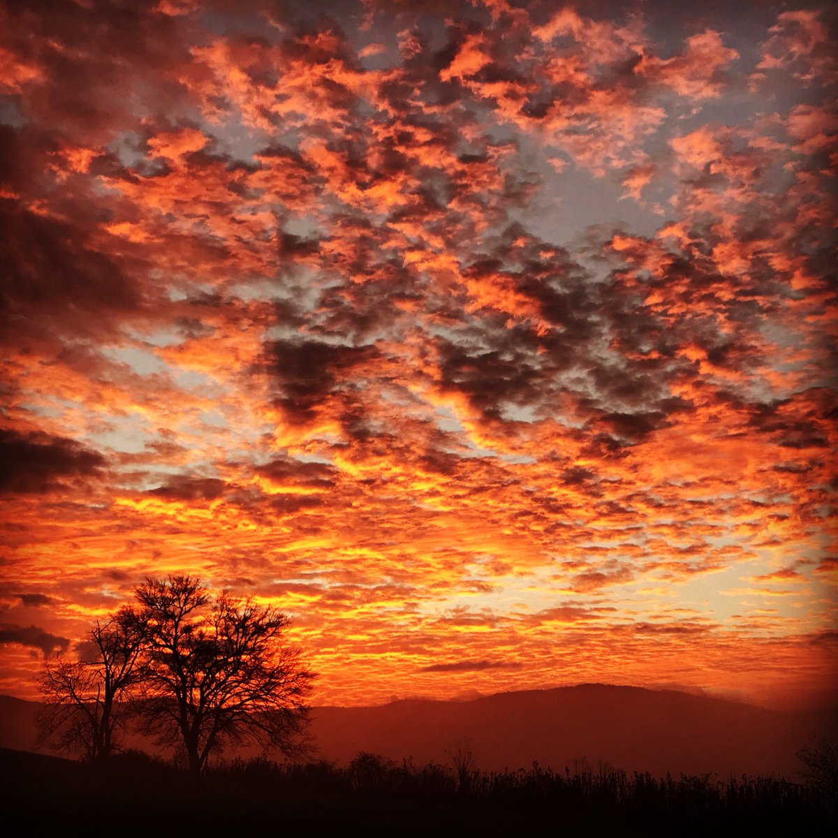 Sunrise is better from a sleeping bag. #backpacking