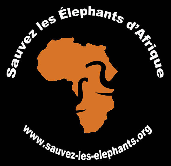 EditioPixygraph's tweet photo. Shukuru le petit éléphant et son ami Pongo, fatigués de marcher, décident d’aller dans la savane se reposer...
En 2020 il n’y aura plus d’éléphants. 
Allons nous laisser une espèce disparaître?
https://t.co/r84yPuxqUe
https://t.co/boEu0BkQqf https://t.co/ywxs3u6Bx5