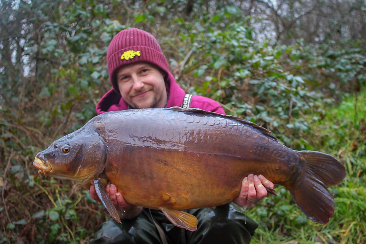 madbaits's tweet photo. Consultant Jay Goodson recently went on a winter social at Sandhurst with a couple of MAD Consultants. He was rewarded with this chocolate mirror that sent scales around to 28lbs-8oz caught using a single Nutz+ pop-up👌😎’
#PureMadness #Madbaits #compulsiveanglerrange #Nutz+ https://t.co/q5BBNpakYr