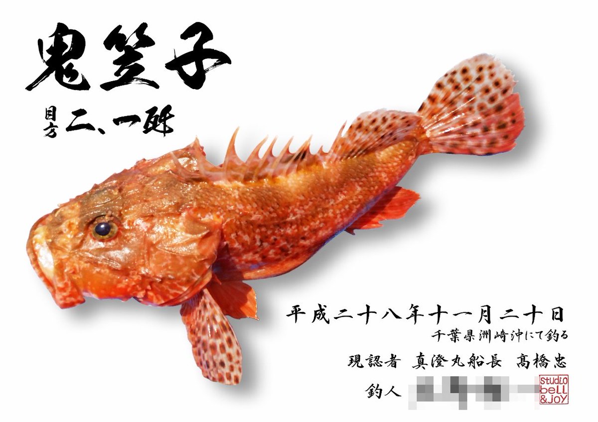 Uzivatel 栗林拓也 Bell Joy Na Twitteru 今回ご紹介させて頂きますデジタル魚拓は鬼笠子 オニカサゴ しかも2kg超えの良型オニカサゴです 専用釣り船が沢山出るほどの船釣りでは人気のターゲットですね 活き活きとしたまるで海の中を泳いでいるような躍動感の