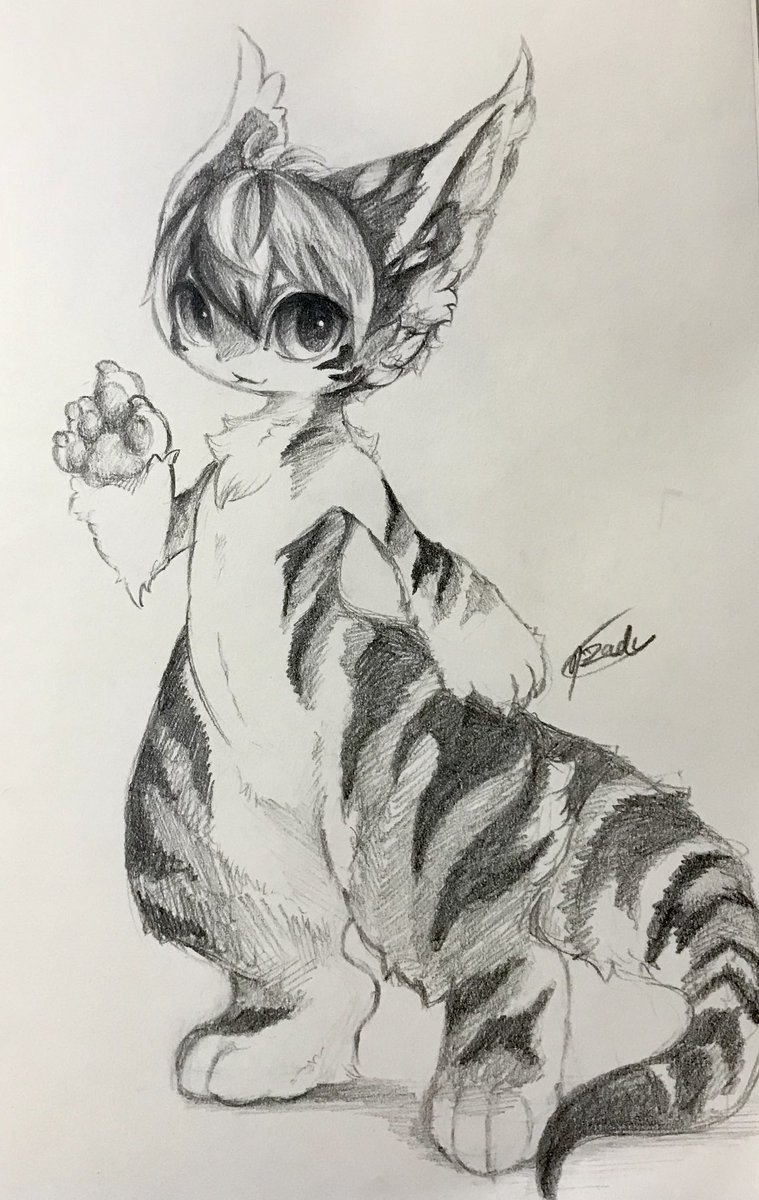 「ねこの・ふらわー 
Idea sketches of Rufen 」|Rady❄️デザフェスK35,36のイラスト