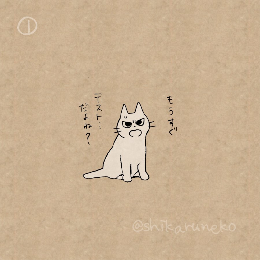 しかるねこ Tvミニアニメ化決定 V Twitter テスト勉強を後回しにしてしまう人を叱ってくれる猫