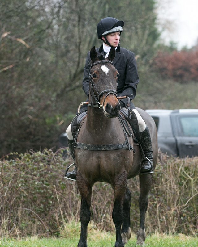 JoshNeateCD's tweet image. Over the last year i now have an amazing hunt horse Rosie and a shetland pony who is currently being broken into harness!