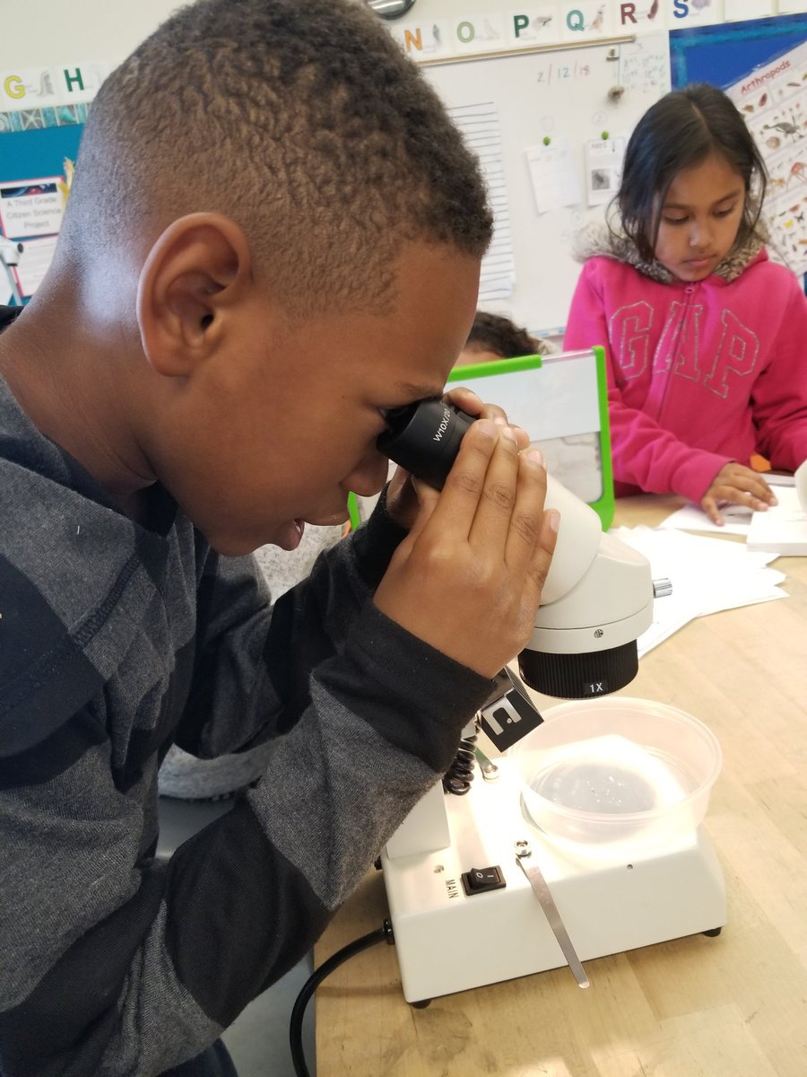 What ants live in our neighborhoods? Ss identifying and reporting what they found this weekend #CitizenScience  <a href="/HTeNorthCounty/">High Tech Elem NC</a> #localANTtics #htenc #pbl  Check out our project <a href="/inaturalist/">iNaturalist</a> inaturalist.org/projects/san-d…