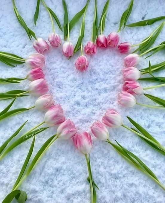 Bazı şeyleri kafana takmayı bıraktığında 
ve birileri için beynini, ruhunu, kalbini artık
yormadığında mutlu oluyorsun...
Mutlaka deneyin...☺
    Günaydın huzur dolu bir gün olsun inşallah 😊🌼