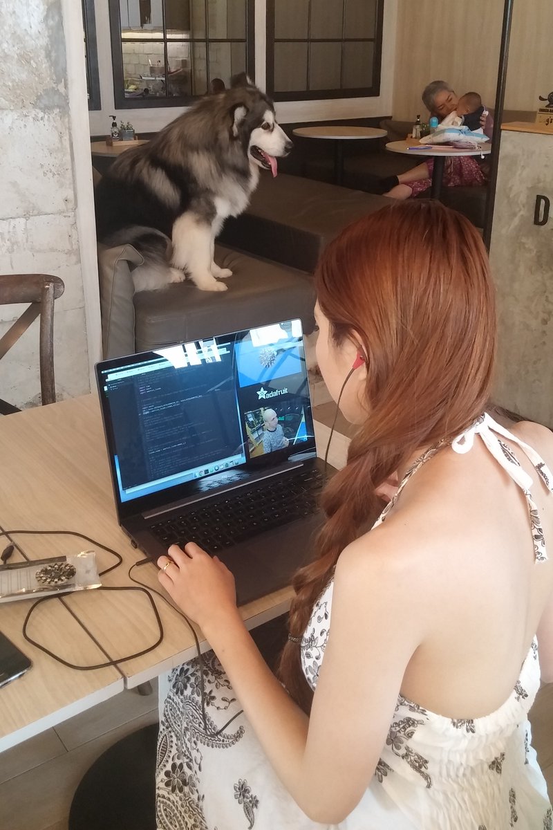RealSexyCyborg's tweet image. At my favorite Bangkok dog🐕 café, finally getting familiar with the @adafruit #circuitplayground with my usual YouTube instructor @tdicola😊