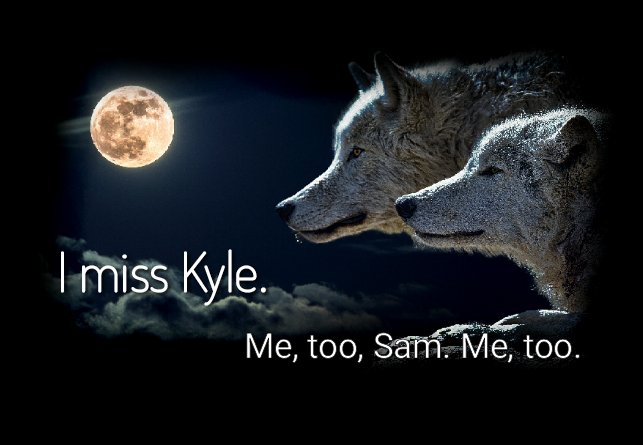 GemedesGem's tweet photo. Goodnight, Gamers! #Gaming #ConsoleGaming #MobileGaming #PCGaming #3WolfMoon https://t.co/sUm8eWevch