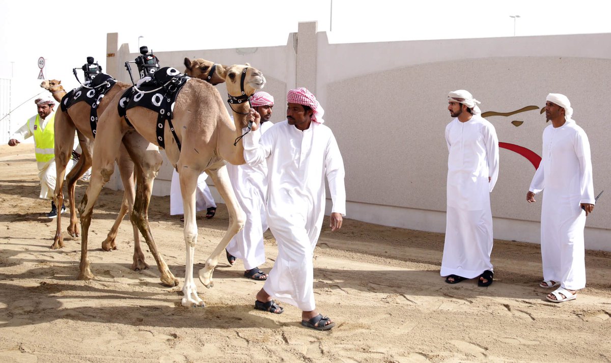 dubaipolosport's tweet photo. HE Sheikh Hamdan @faz3 attends the races and has reiterated his commitment to promoting the time-honored Arab sport of #camelracing. The Pure-Bred Arabian Camel Races Festival, was launched on the 10th of February 2018 at Al Marmoum Smart Camel Racing Track. #DubaiPoloRacing https://t.co/IQB3Jzdzq5