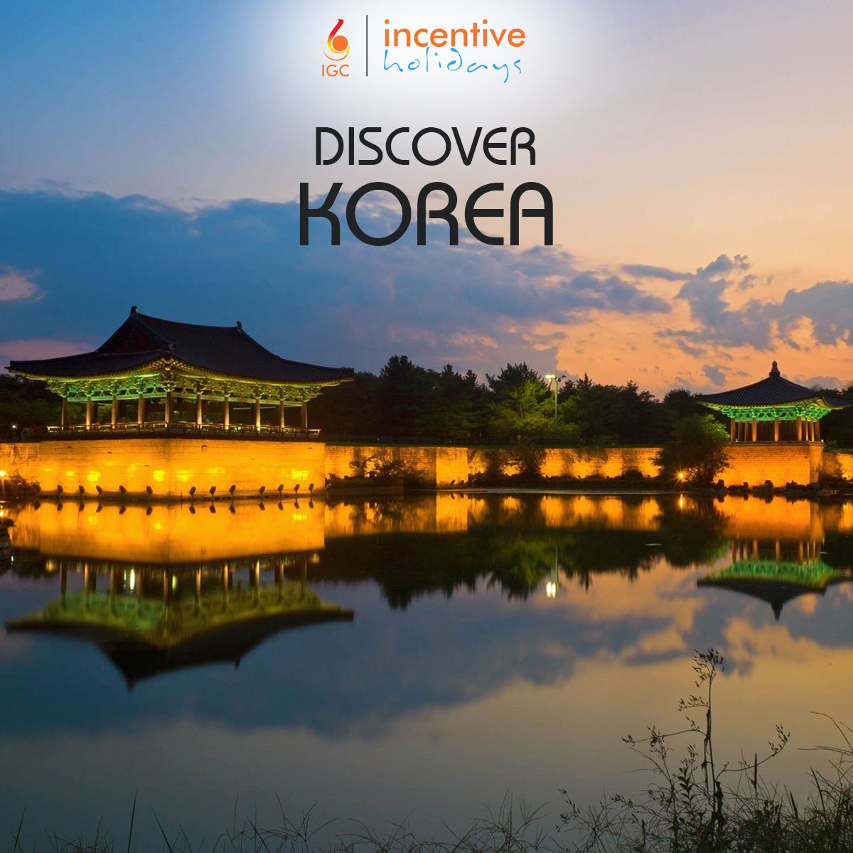 incentivehldys's tweet photo. Are you confused with so many holiday package offers on Facebook? Why not try @incentivehldys 
For more details contact us now at: 
Email: info@incentiveholidays.com 
Contact Number: 4005043/44
Direct call: +977-9840057422 https://t.co/PNkYTrptFi