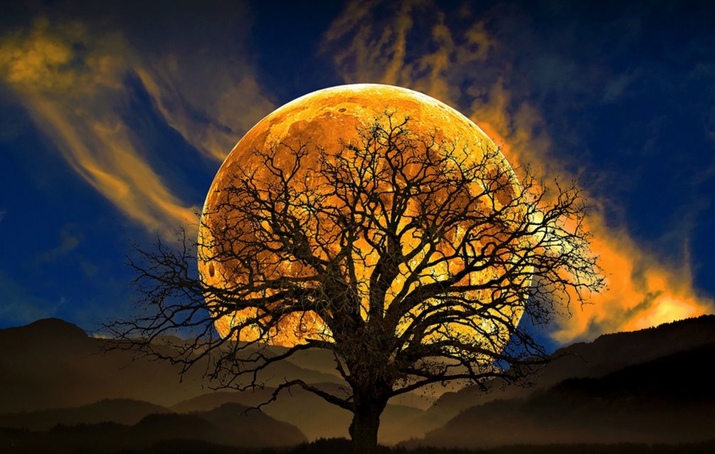 Fotos y frases (@fotosyfrases69) on Twitter photo 