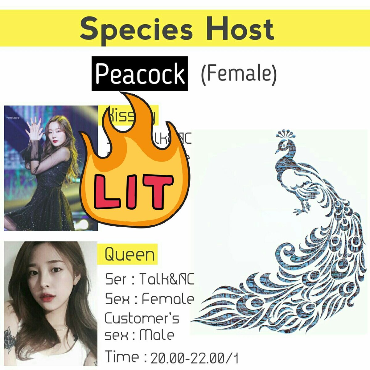 SPECIESXHOST|ปิดชั่วคราว⚠ tweet media