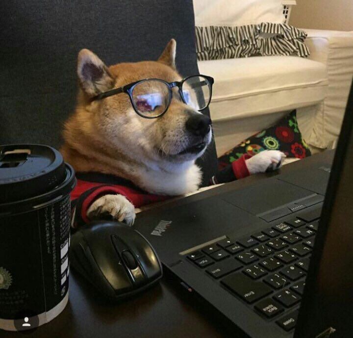 StumblerPopular's tweet photo. Two actual pictures of me showing my everyday routine https://t.co/XcdFGfIrts