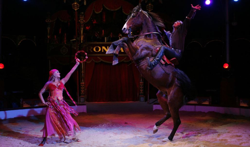 Все, кто мечтал увидеть как устроен #Цирк, теперь могут посетить экскурсии по закулисью Большого московского государственного цирка (<a href="/greatcircus_ru/">Цирк на Вернадского</a>). Гостям покажут репетиции артистов, систему сменных манежей и конюшни. 
Численность группы не более 15 человек. Вход платный.