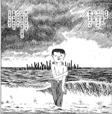 パロディたんbot ポケモンの メノクラゲ の名前は つげ義春の漫画 ねじ式 の冒頭に出てくる メメクラゲ が元ネタだと思うわ T Co V7bf1ink7s