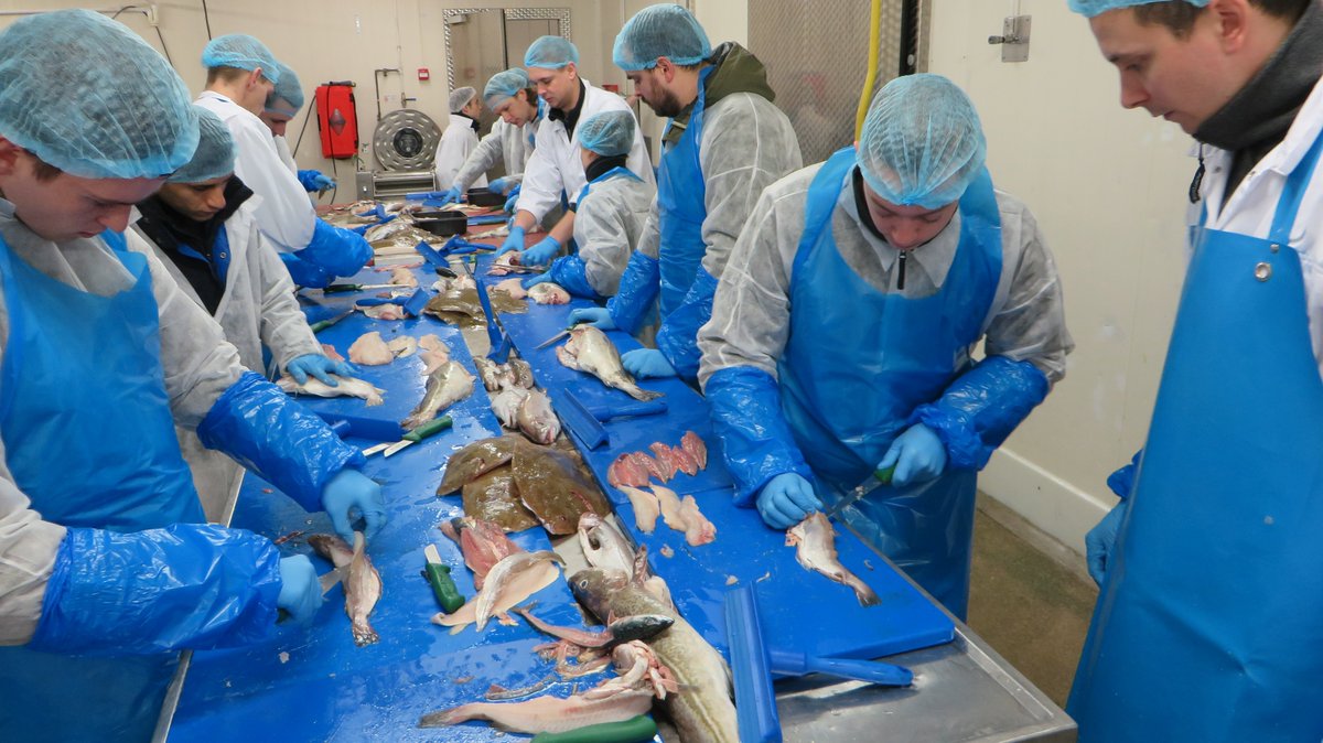 DriessenFood tweet media