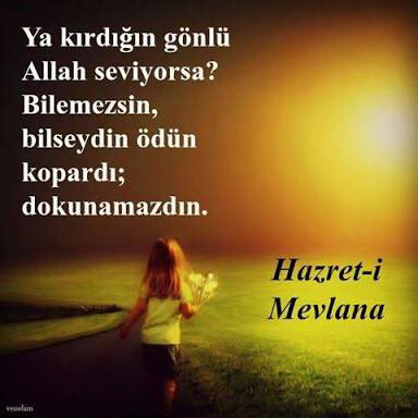 Osman Ceran (@osman_ceran) on Twitter photo 