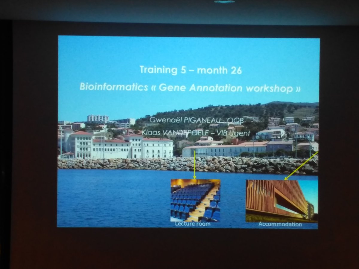 ina_deutschmann's tweet image. #Singek Bioinformatics Gene Annotation Workshop organized by Gwenaël Piganeau and Klaas Vandepoele (@plaza_genomics) at the Observatoire Océanologique de Banyuls sur mer in beautiful @Banyulssurmer about to start. #GenomeAnnotation