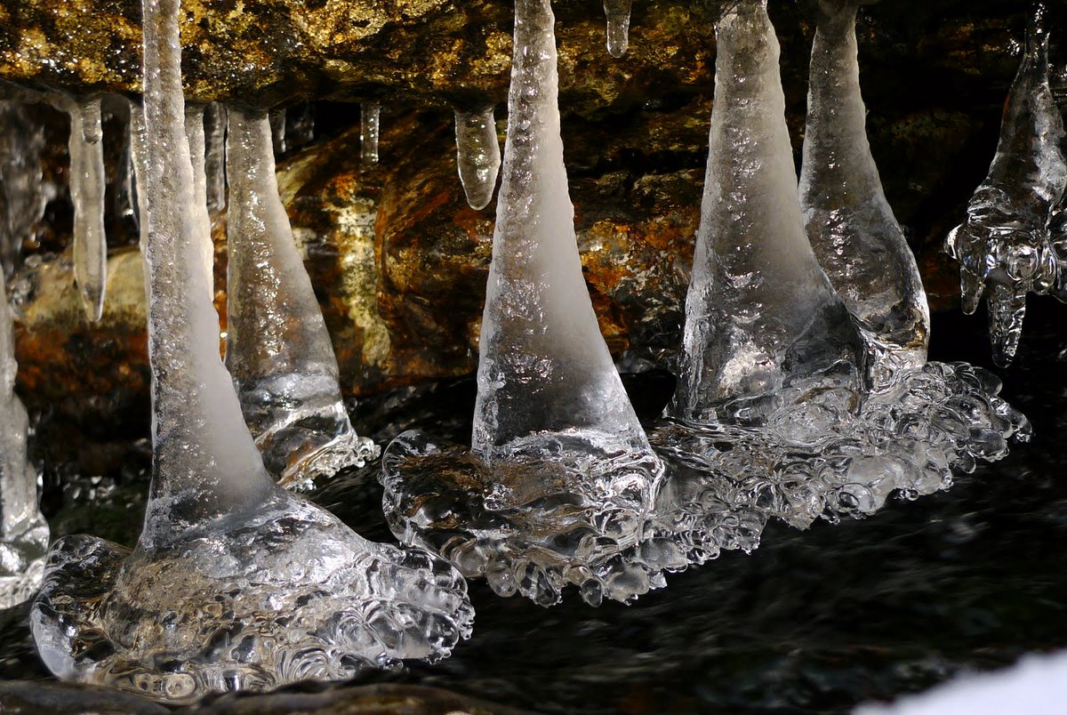 Gustav_28's tweet photo. #Iceicles from under a stone @mountainsinaskvoll @visitnorway #fjordkysten #lumixnordic https://t.co/S5qD46qWP4