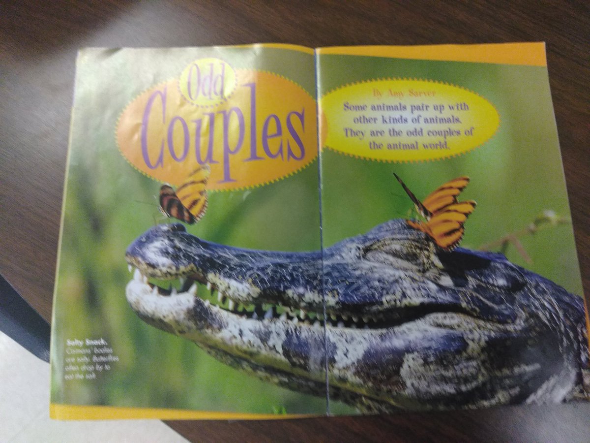 LisaCarvajal4's tweet photo. Animal research with our Enrichment First Graders group #1 #plcrocks #ottinspired #welovelearning https://t.co/vs2qaZuQEe