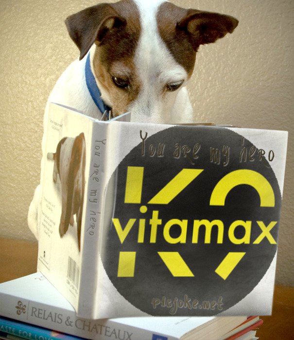 charlieroger20's tweet photo. Get The Best Multivitamin Supplement For Your Dogs, Today

Not sure if your dog is getting all his vitamins?

https://t.co/sddbjmkdB5 https://t.co/0wqZLrR2HZ