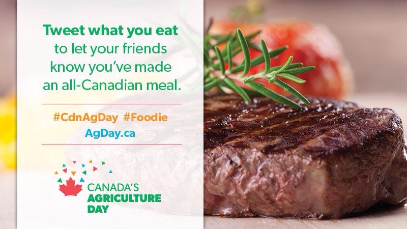 #CdnAgDay #farmpride #localfood #rainyriverraised #eatCdnbeef