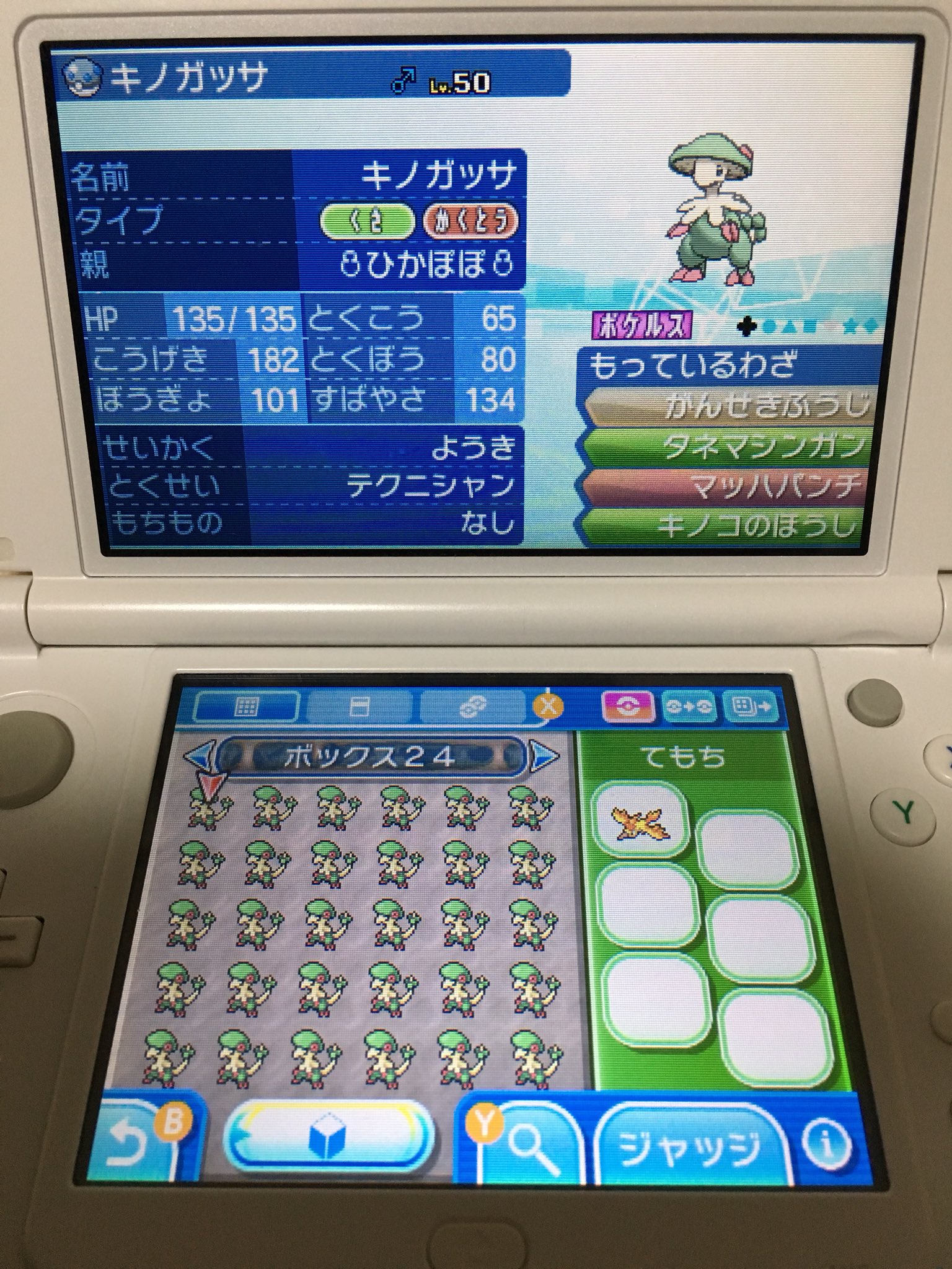 ぽぽん 育成済みキノガッサinヘビーボール です 44体います 作りすぎた Gt Lt 早い者勝ち 努力値as252 B4 求 ポイマ 1 ポイア 3 銀冠 2 アメ 2 オシャボ 1 のどれかでお願いします ポケモンサンムーン ポケモンウルトラサンムーン