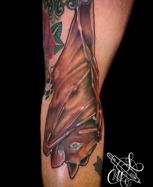 BlaqueSalt's tweet photo. Tattoo by @luke801art Finished this little blind bat.  #blindeye #blind #bat #flyingfox #colortattoos #colortattoo #tattoos #tattooed #tattoo #instaink #inked #tattoomagazine #instaart #tattooartists #tattooart https://t.co/YvxcrVo8xn