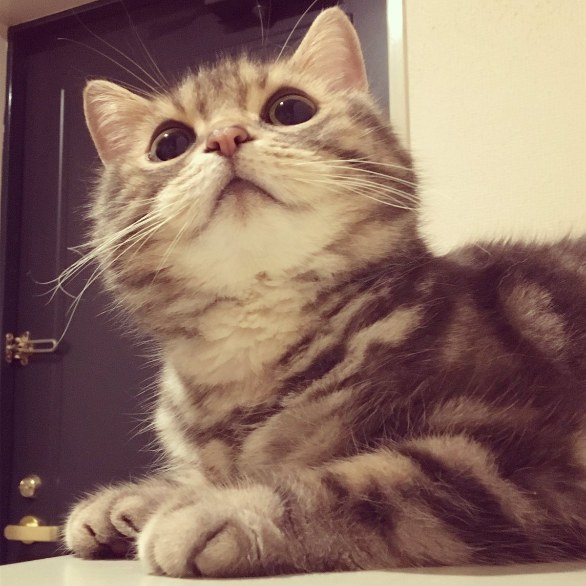 瞳の土偶感。

#悪口ではない