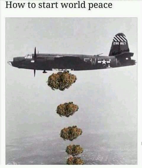 SteppingHighFes's tweet photo. #WorldPeace #SteppingHighFestival2018
March 2&3#TakingYouHigher #ElevatingMinds #UniversallLove #Ganjafest #Negril #Jamaica #Caribbean #Onelove #ganja #ganjagram #weed #marijuana #kush #music #cannabis #rastafari #reggae https://t.co/PJyIqZHMcv