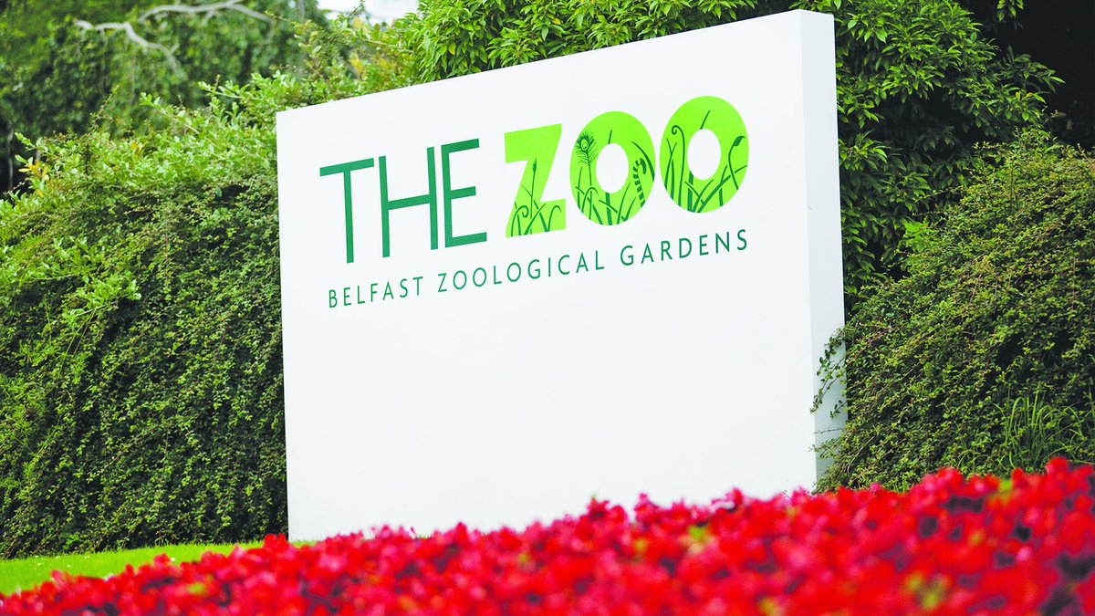 We are supporting Belfast City Council with an Early Market Engagement process to explore interest in the operation, management and development of Belfast Zoo. For more details visit bit.ly/1oxx24Q