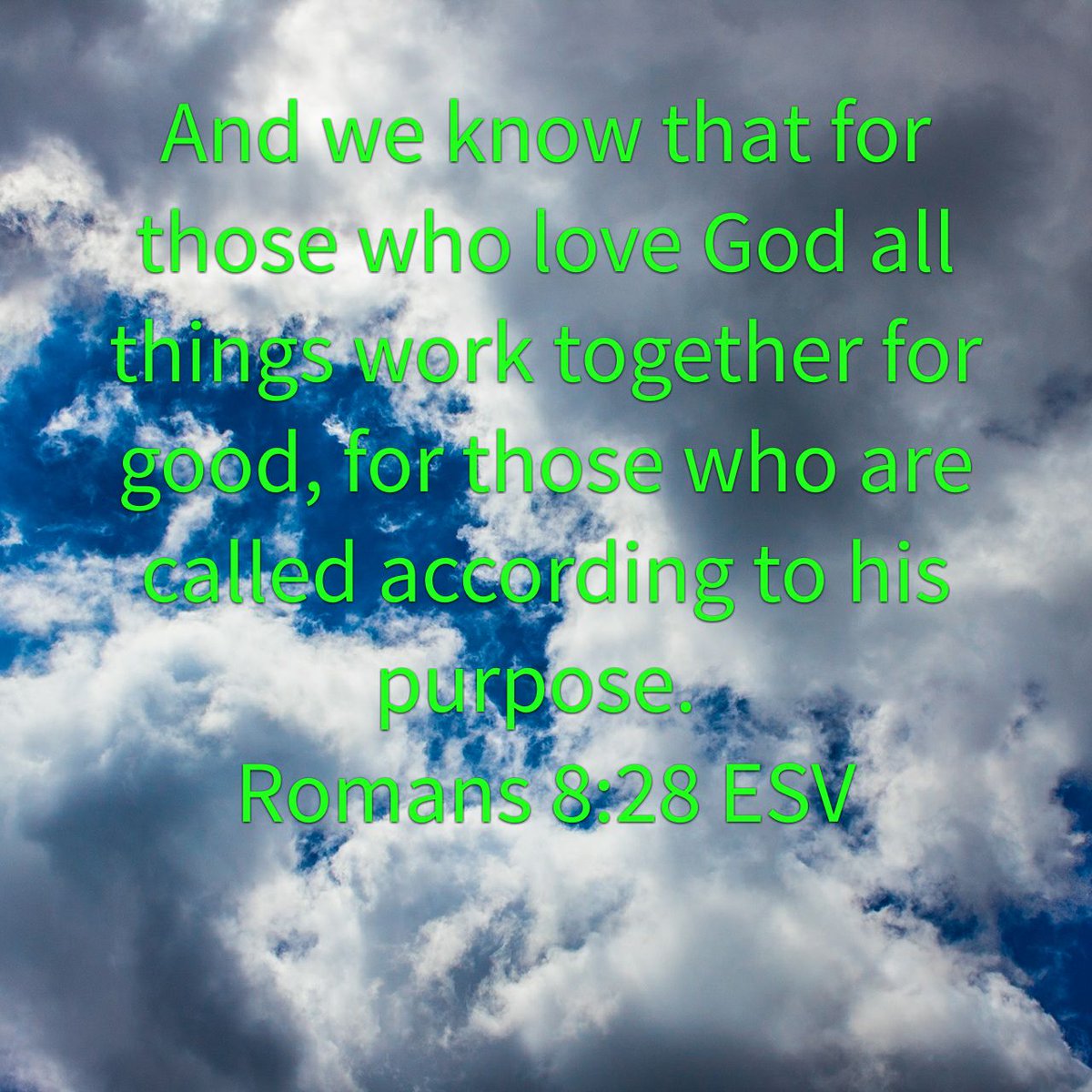 mhenry44's tweet photo. And we know that for those who love God all things work together for good, for those who are called…
https://t.co/z7gVyzUvSO https://t.co/IrhXCMrXkj