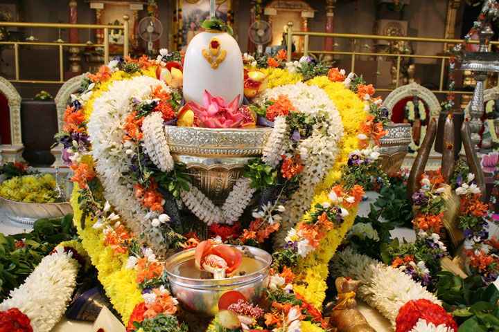 yuwani singh tweet media