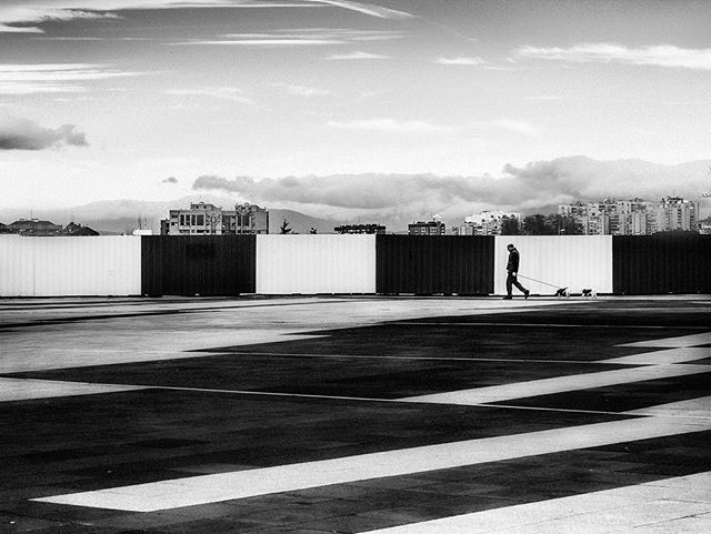 Conceptes's tweet photo. [ Paseo perruno ]
#joseconceptes #madrid #madridart #streetphotography #streetwear #paseodelacastellana #photography #vscocam #bnw #photoofday #photo #blackandwhite #bn #creative #conceptual #creativity #conceptualphotography #dog #perros #paseo #composi… https://t.co/EVpGiq5lm1 https://t.co/XKRt6D4fa3