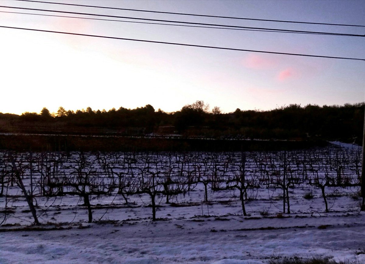 Celler 9+ tweet media