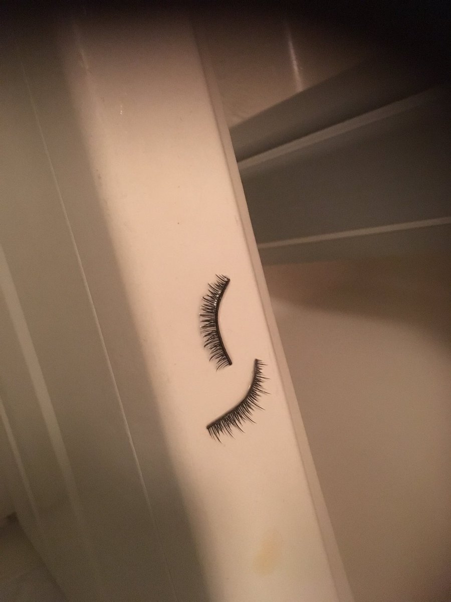 ゲジゲジはどこから入る トイレとお風呂によく出るけどどっから来てるの 丁寧に暮らし隊