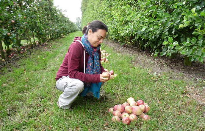 INRAE_Intl's tweet photo. [#HeartOfTheJob] Aude Alaphilippe #engineer in #arboriculture @Inra_PACA @INRAspe: produce better &amp; sustainably. #Portrait https://t.co/LSGf44pOC4 #3Perf #HR #joboffer #JobSeeksTalent https://t.co/oJej53b3vY