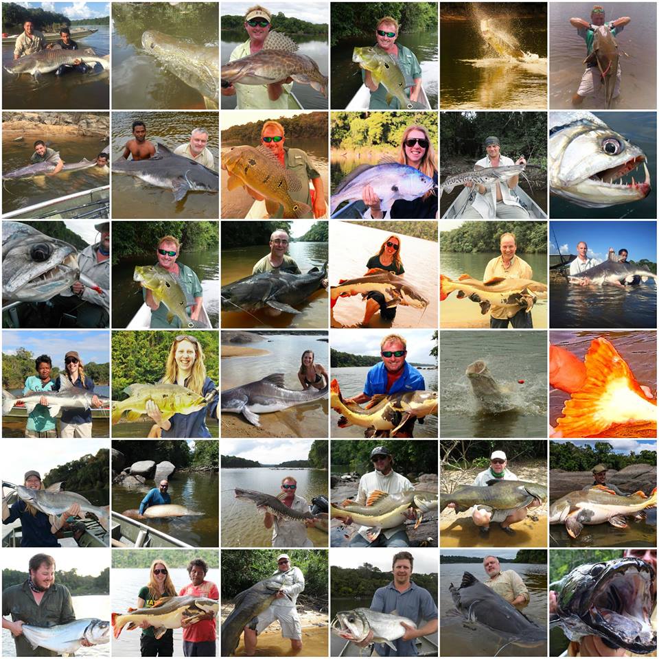 AmazonAngler's tweet image. JAGUAR EXPLORER CAMP TRIP - GUYANA.