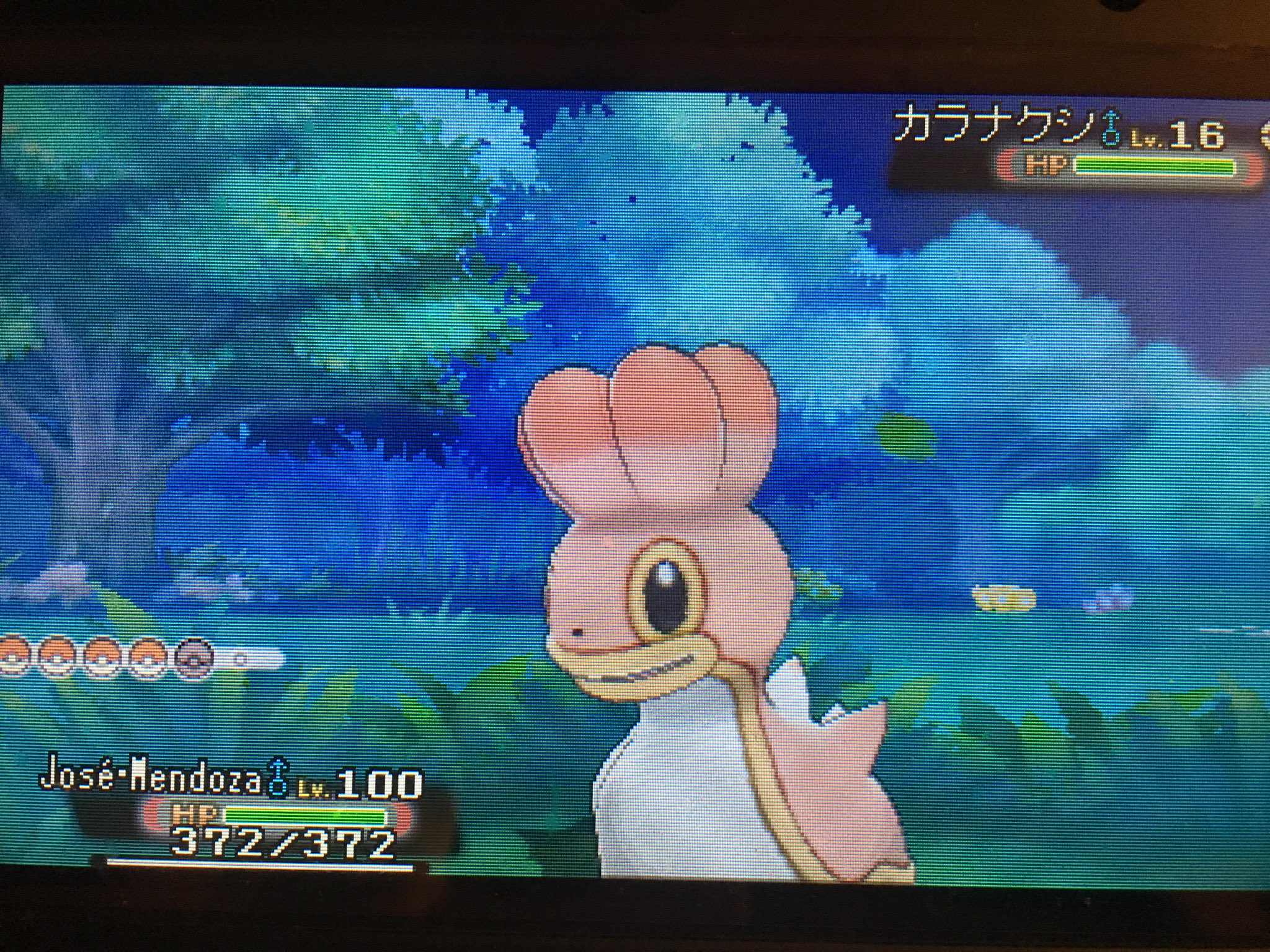 ギロチンおっしょさん 仲間大会直前に捕獲した穏やかカラナクシ 光る瞬間見てなかったら倒してたかもしれないw 無駄にめざ炎だったりするのはナイショの話 色違いポケモン カラナクシ にしのうみ T Co Nf2a7k9l95 Twitter