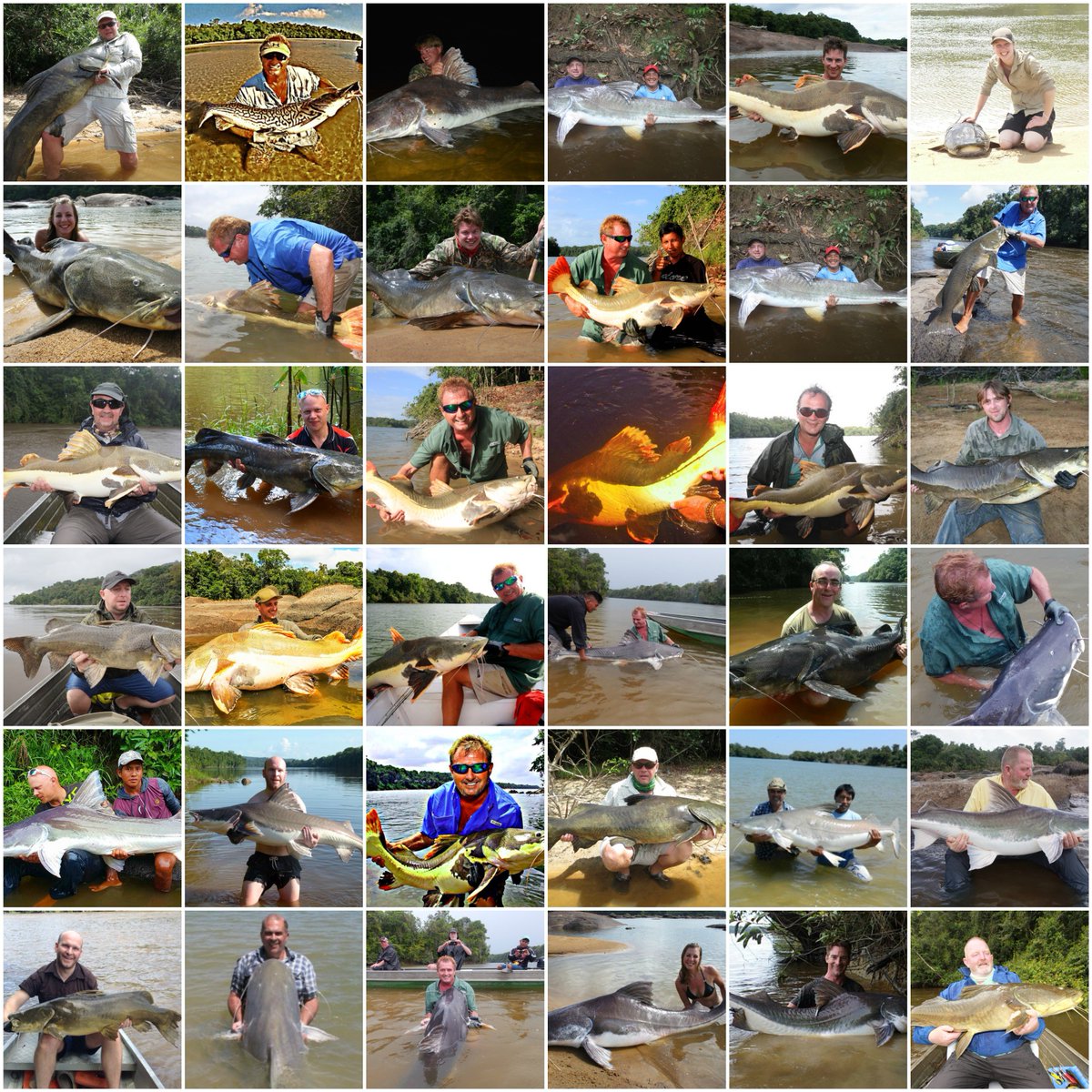 AmazonAngler's tweet image. JAGUAR EXPLORER CAMP TRIP - GUYANA.