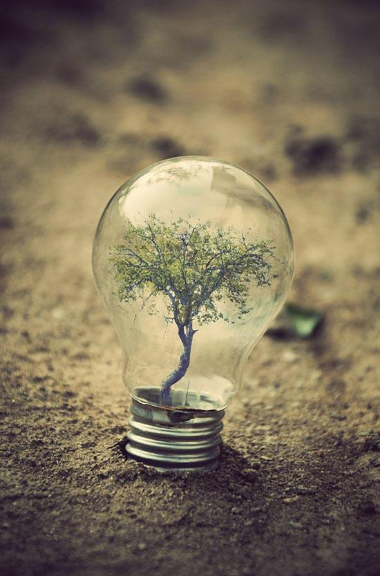 endysSMA's tweet photo. "When you have exhausted all possibilities, remember you haven't." - Thomas A. Edison 💚✨
▶️👉https://t.co/u6hoEneCUh
#socialmedia #DigitalMarketing #FacebookMarketing #socialmediamanager #quote #SMM #expertmanager #BeijaFlor #experadvice #pancakeday2018 #quotesoftheday https://t.co/st3gynjLZn