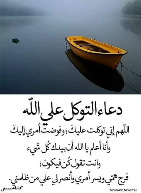 us91ZP4AfCjG9oE's tweet photo. ⭐امين يا ⭐رب العالمين ⭐ https://t.co/6pigkQMPxB