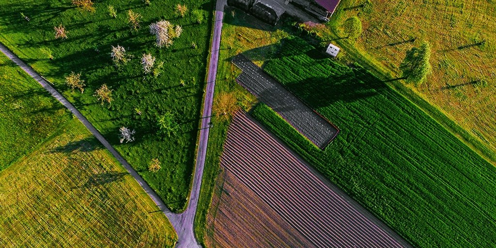 Land Trader tweet media