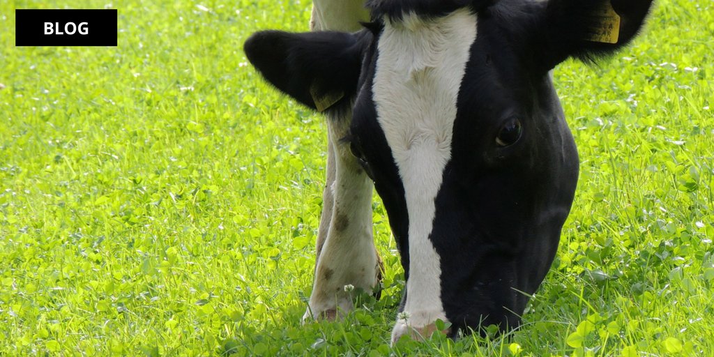 Productivity grant for #dairy #farmers - Read more at:

goo.gl/g66VpY