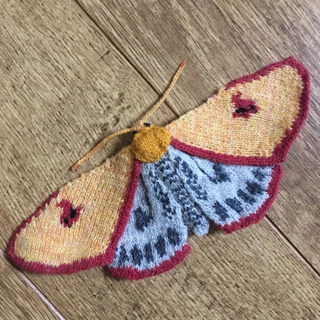 Clouded Buff Moth (Diacrisia sannio) 24 x 10cm. Hand knitted in Shetland wool. I used 6 shades of @jamiesonsofshetland spindrift yarn in buttercup, spice, heron, pebble, cornfield & natural black. This will be on show at the @contemporarytextilesfair in … ift.tt/2BVMtot