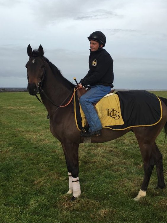 henrycspiller's tweet photo. We have two runners today; Argante goes to @Southwell_Races & runs in the 2m2f Handicap with @Franmberry on board. He was 3rd on his last 2 Flat outings so🤞Staff College runs in the Prix de la Route des Suisses @fgchantilly where Coralie Pacaut claims 4.5kg off. https://t.co/E3YEU6JH4r