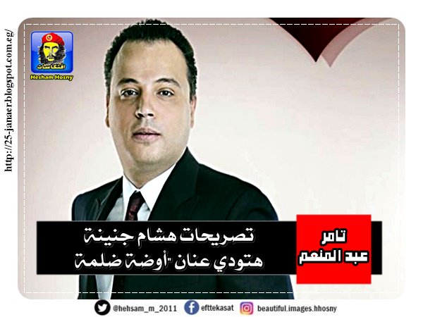 تامر عبد المنعم تصريحات هشام جنينة هتودي عنان "أوضة ضلمة”