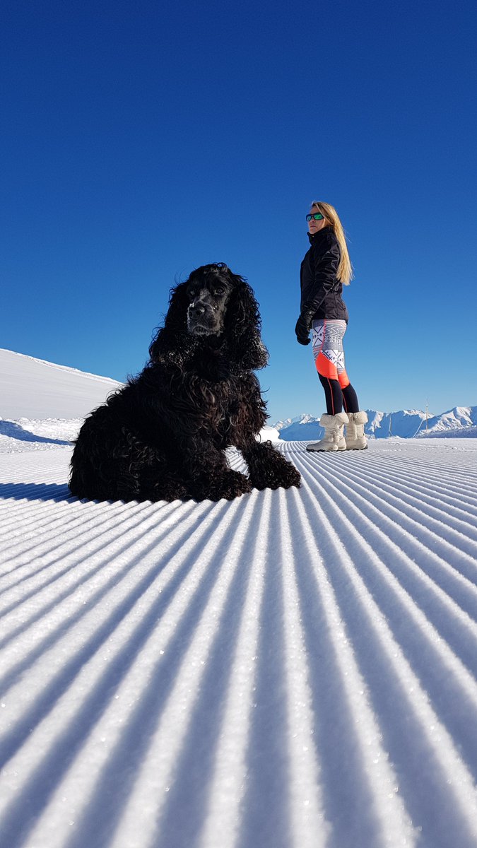 LA JOURNEE de la saison, c'est aujourd'hui ! Une poudreuse légère...légère...Un ciel tellement bleu...Un soleil de rêve! THE DAY of the season is today! Light powder, blue sky and hot sun...Merci Niko #TousToussuire #savoiemontblanc #AuvergneRhoneAlpes #Maurienne