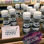 インスタ映え間違いなし？1本1本手作りのパンダの塩がこちら。
