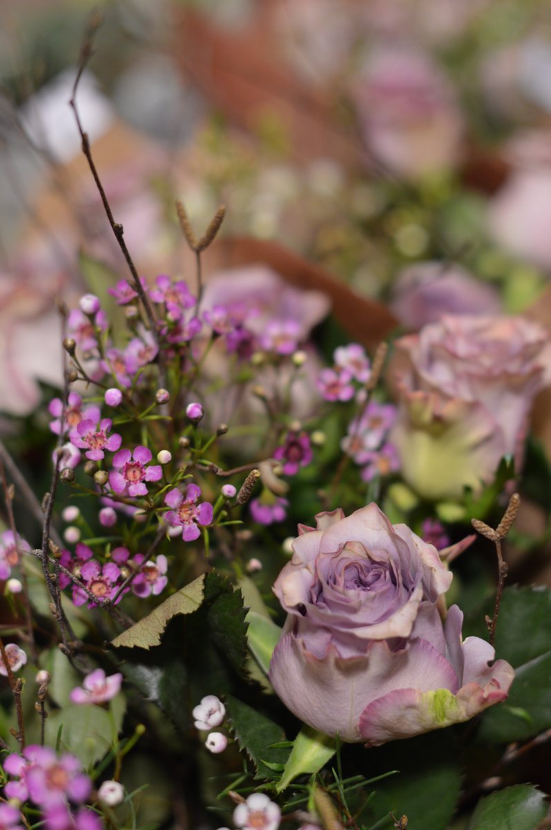 dartsfarm's tweet photo. Assorted roses, blossoms, scented tuberous, helleborine &amp; chaenomeles, our #FlowerShack are busy creating a beautiful selection of hand-tied bouquets to suit everyone this #ValentinesDay! #TuesdayMotivation https://t.co/MBBgFZN5up
